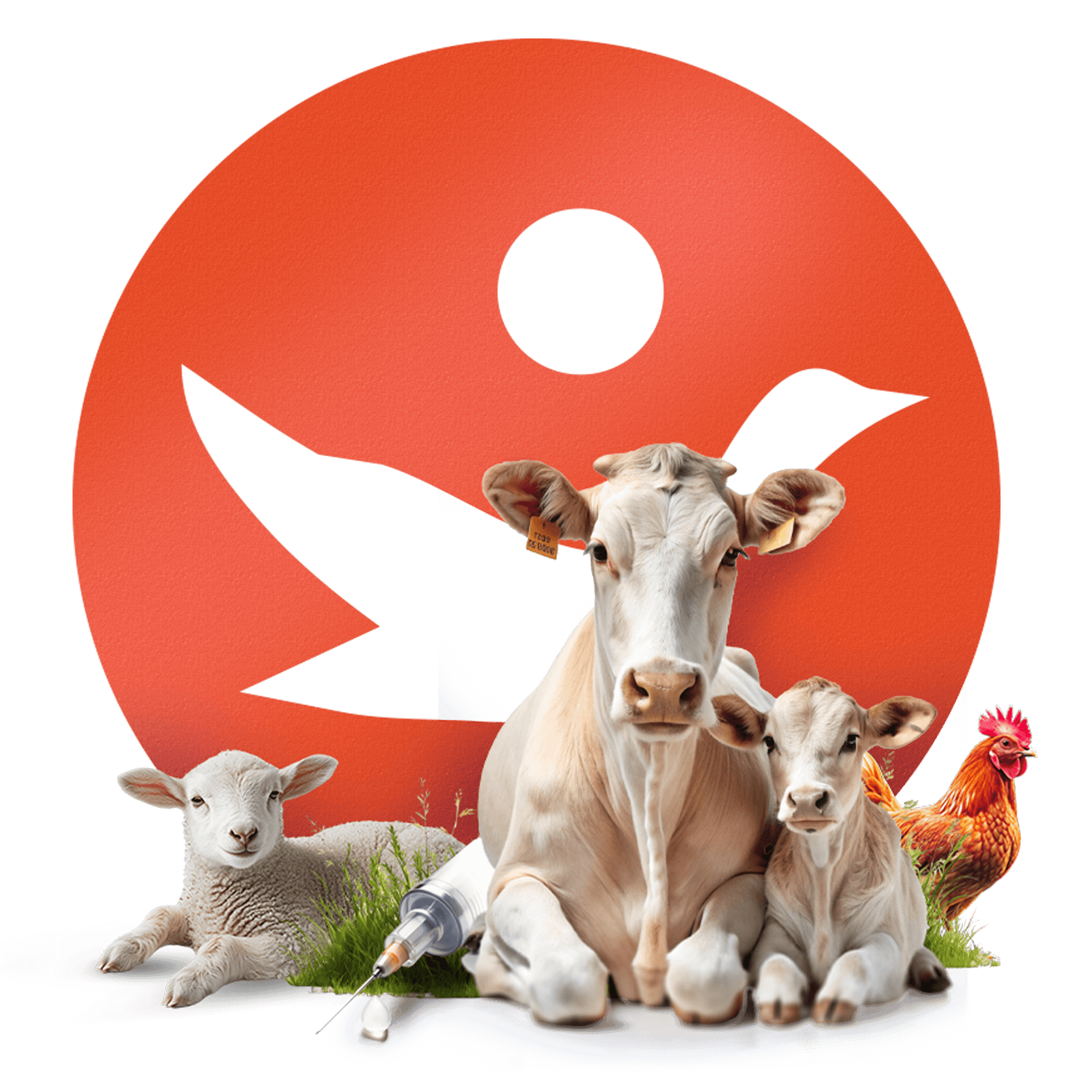 Simurg Kimya İlaç Sanayi Ltd. Şti.